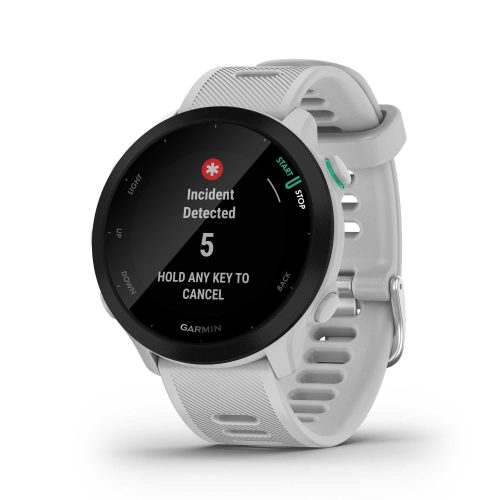 0100256201 garmin forerunner55 incident