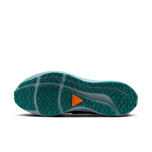 DO7625 300 M Nike Pegasus39Shield sole